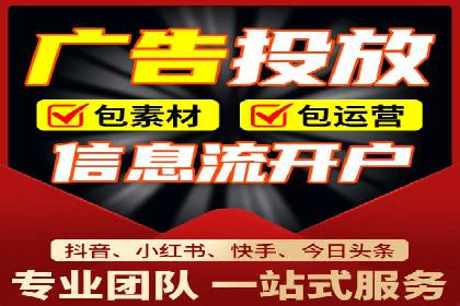 大型SEM服务公司案例分析